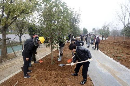常绿干部爆料视频,揭秘权力背后的真相  第1张